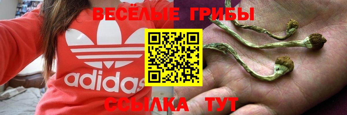 Рассказово  даркнет сайт  Вход с VPN  Псилоцибиновые грибы прущие грибы  Галлюциногенные грибы мицелий 