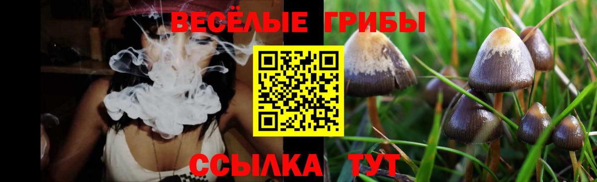 Галлюциногенные грибы мицелий Рассказово